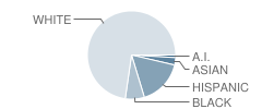 Northwest High School Student Race Distribution