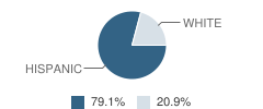 Odem Junior High School Student Race Distribution