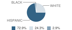 O'donnell Junior High School Student Race Distribution