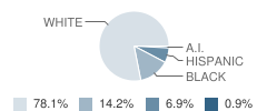 Ore City High School Student Race Distribution