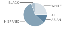 Palacios High School Student Race Distribution