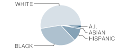 Aikin Elementary School Student Race Distribution