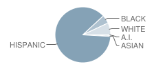 Parks Elementary School Student Race Distribution