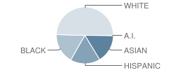 Silverlake Elementary School Student Race Distribution