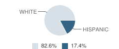 Perrin Elementary School Student Race Distribution