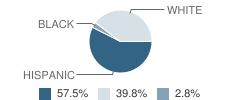 Pettus Elementary School Student Race Distribution