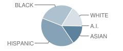 John B Connally High School Student Race Distribution