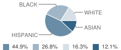 Dessau Middle School Student Race Distribution