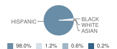 San Juan Middle School Student Race Distribution