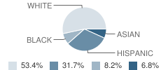 Davis Elementary School Student Race Distribution