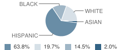 Memorial Elementary School Student Race Distribution