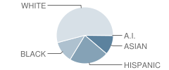 Wilson Middle School Student Race Distribution