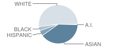 Mathews Elementary School Student Race Distribution