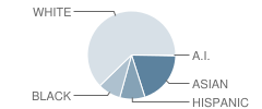 Barksdale Elementary School Student Race Distribution