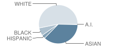 Haun Elementary School Student Race Distribution