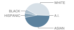 Stinson Elementary School Student Race Distribution