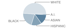 Rasor Elementary School Student Race Distribution