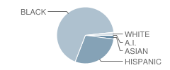 Wheatley Elementary School Student Race Distribution