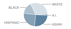 Math / Science / Technology Magnet School Student Race Distribution