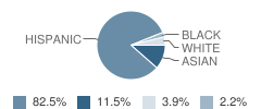 High School for Health Professions Student Race Distribution