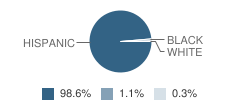 San Pedro Elementary School Student Race Distribution