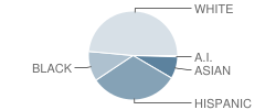 Chisholm Trail Middle School Student Race Distribution