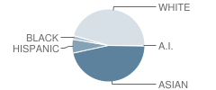 Laurel Mountain Elementary School Student Race Distribution