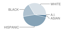 Hopewell Middle School Student Race Distribution