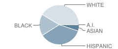 Stony Point Ninth Grade Campus School Student Race Distribution