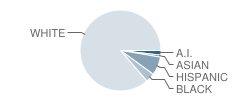 S and S Cons Elementary School Student Race Distribution