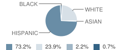 Sabinal High School Student Race Distribution