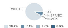 Sam Rayburn Elementary School Student Race Distribution