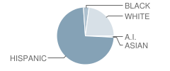 Bradford Elementary School Student Race Distribution