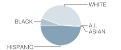 Central Freshman Campus School Student Race Distribution