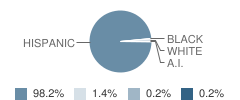 Charles Graebner Elementary School Student Race Distribution