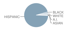 Edison High School Student Race Distribution