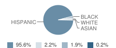 Fenwick Elementary School Student Race Distribution