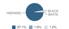 Sarah S King Elementary School Student Race Distribution