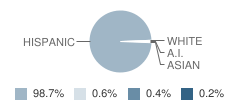 Alfonso Borrego Sr Elementary School Student Race Distribution