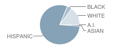 Bowie Elementary School Student Race Distribution