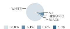 Sanford-Fritch Junior High School Student Race Distribution