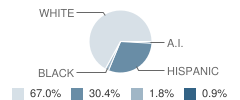 Santa Anna Secondary School Student Race Distribution