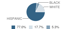 Seagraves Junior High School Student Race Distribution