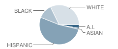 Jefferson Elementary School Student Race Distribution