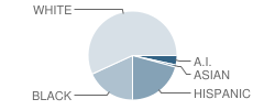 Wakefield Elementary School Student Race Distribution