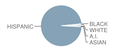 Socorro High School Student Race Distribution