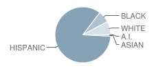 Sun Valley Elementary School Student Race Distribution