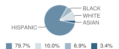 Spring Oaks Middle School Student Race Distribution