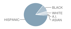 Spring Woods Middle School Student Race Distribution