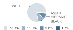 Spring Hill Primary School Student Race Distribution